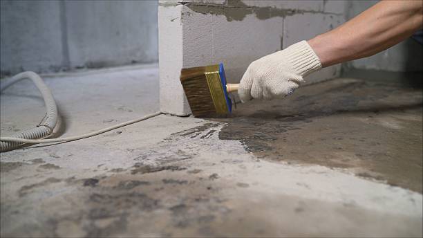 Top rated local Wet Basement Repair specialists in Martinsville, IN
